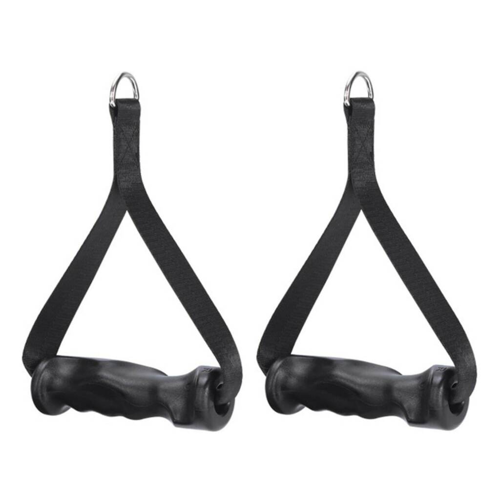 A006557 Agarre Simple Fitness